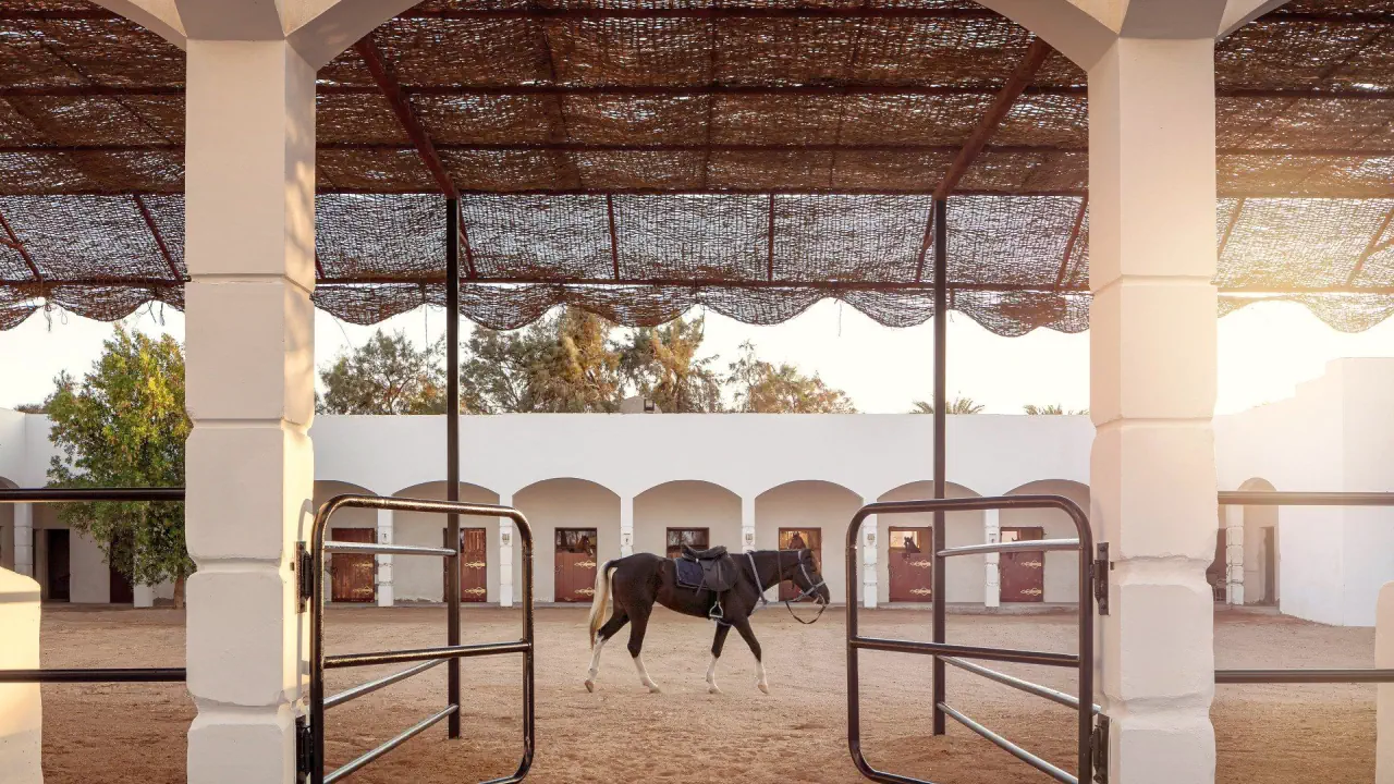 Hotel Palm Royale Resort - Soma Bay